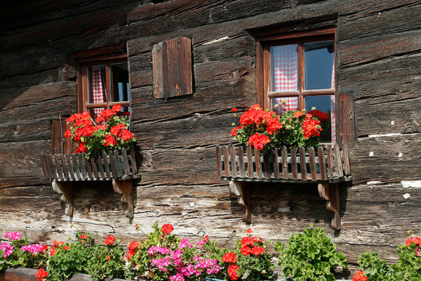 Dusche/WC - Antica casa colonica al Patleidhof