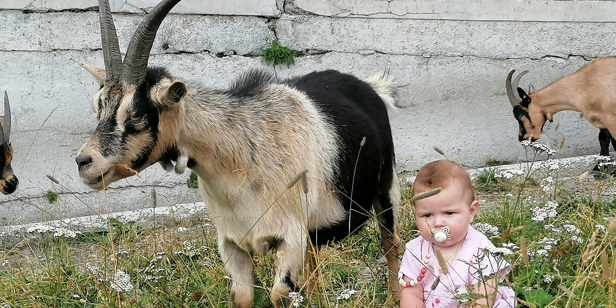 Die Gastfreundschaft